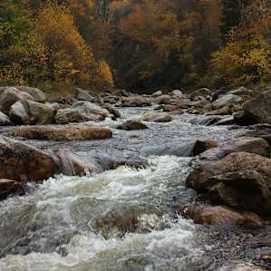 North Bend Picnic Area