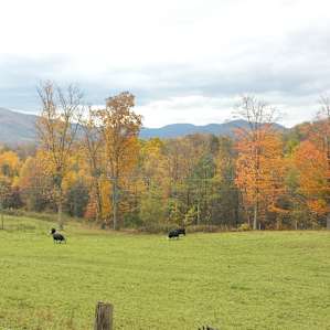 North Bend Picnic Area
