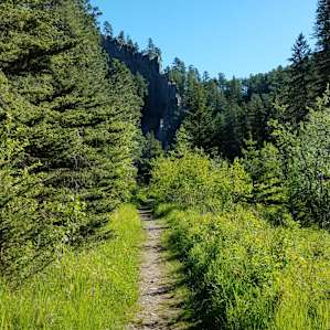 Sheridan Lake South Shore Campground