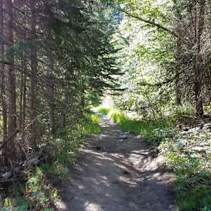 Flume trail