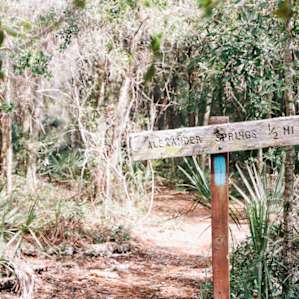 Hiking the FL trail just across the street.