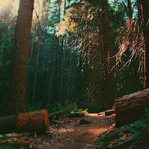 Awesome nature trail, fully immersed in nature.