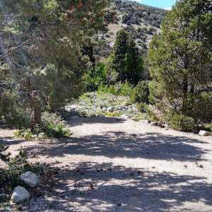 Baker Creek Campground
