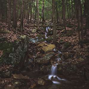 Hiking trail on adjacent to campground.