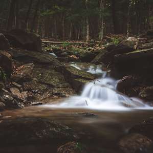 Hiking trail adjacent to campground.