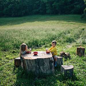 Table for two? The large stumps at the campsite are perfect for dining and sitting by the fire!