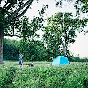 The ground at the site is nice and flat for your tent and there are a few large trees around to provide shade on hot summer days.
