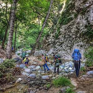 Bear Canyon Trail Camp