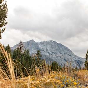 Along the road between Reversed Creek Campground and Gull Lake.
