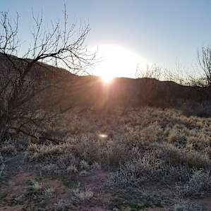 Sunrise from the campsite.