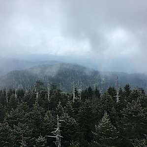 Some truly smoky views up at Newfound Gap.