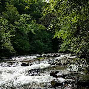 Sights on the hike