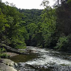 Sights on the hike