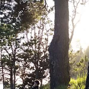 relaxing under the trees before sunset