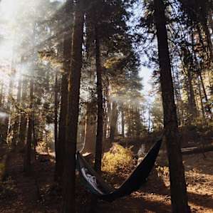 perfect place to hang a hammock and relax
