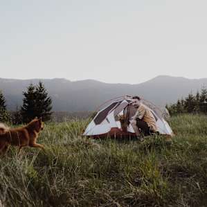 Perfect spot for the pups to roam.