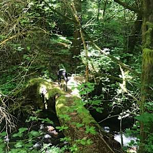 Great trail system on Colette's land