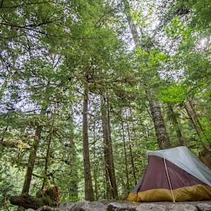 Newhalem Creek Campground