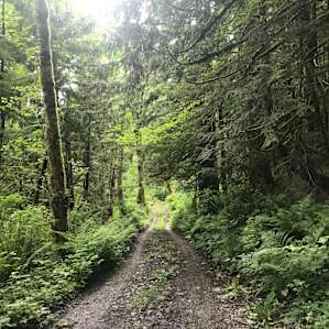 The road down to the property. Easy drive if your vehicle has good clearance. Doable in our Honda Element.