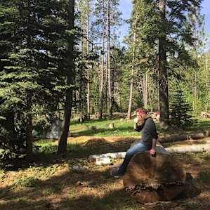 Big log near our site, #4. Campground was well maintained despite all the storms this past winter.
