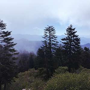 View from Tobias Lookout--too bad I only started taking photos after the fog rolled in. But you *could* see Mt. Whitney!
