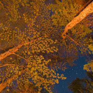 Looking up by the fire, site D 96.