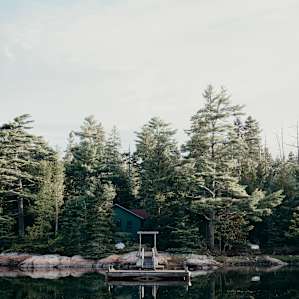 cabin forest lodging