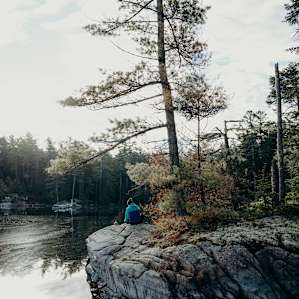 forest water