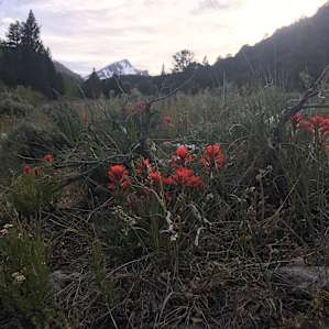View on the hike at Baker Creek Trailhead