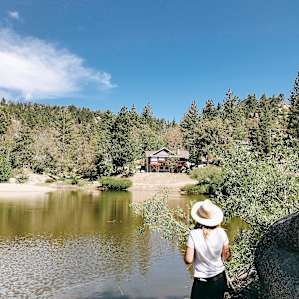 Beautiful little lake just steps from the cabin.