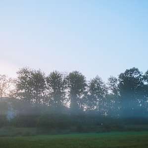 Waking up to a shroud of fog across the field. The island is in the middle of the Columbia River, so fog is almost always a guarantee in the morning.