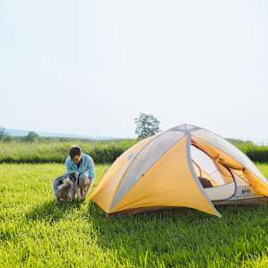 Pitching the tent with Gaston, the farm dog, helping out.