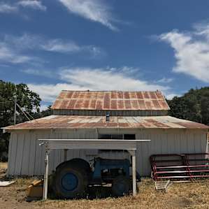 Ranch life.