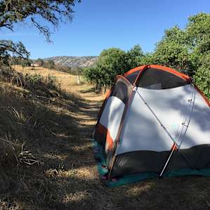 Site 1, in afternoon shade
