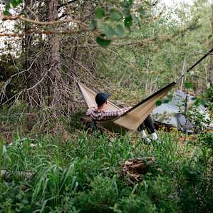 forest hammock activity