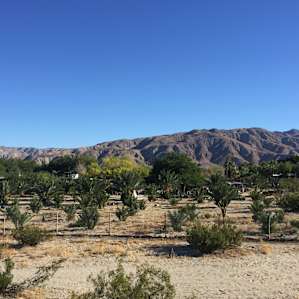 View toward the back of the ranch.