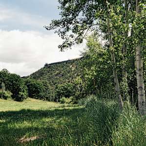 Justesen Ranches Justesen Ranches