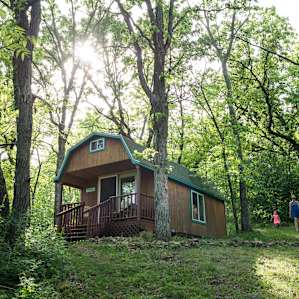 Light peers through the hardwood forest as we returned to emerald cabin.
