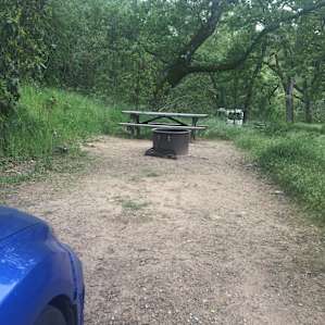 Campsite 8