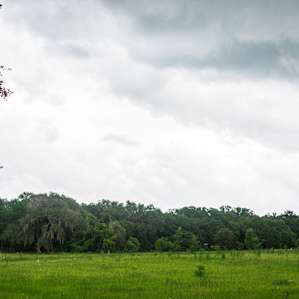 There was a storm rolling in that night but this pasture remained gorgeous.