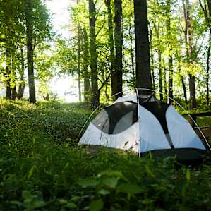 Campsite two experiences magical morning light.