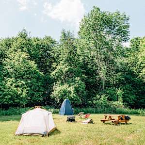 beautiful open field to pitch your tent
