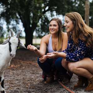 Literally, every animal on the ranch is a delight!