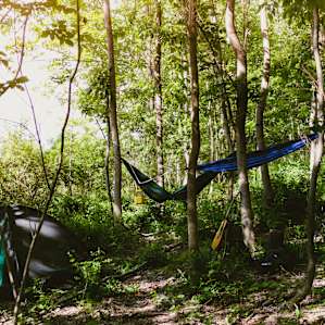 This nice forest spot is a great area to set up for the night!