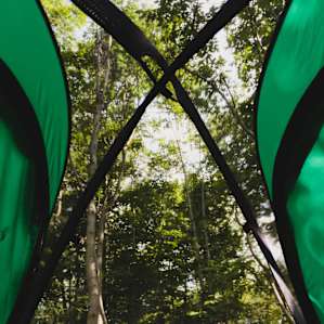 The site features a beautiful forest!