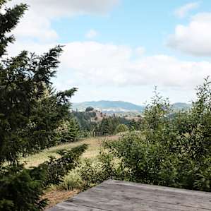 The view from tent 2.