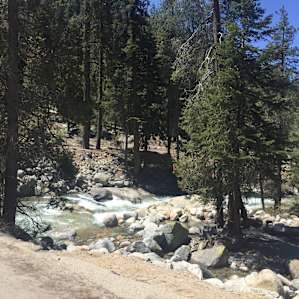 Lodgepole Campground
