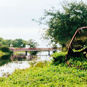 Probably the first "gator" you'll see but it won't be the last! ;)