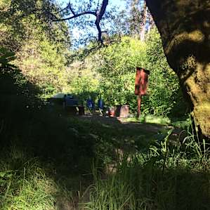 View from #25's creek towards the main campsite.