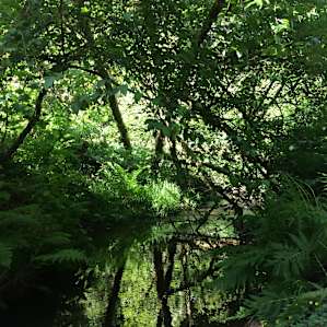 #25's creek moves slowly.